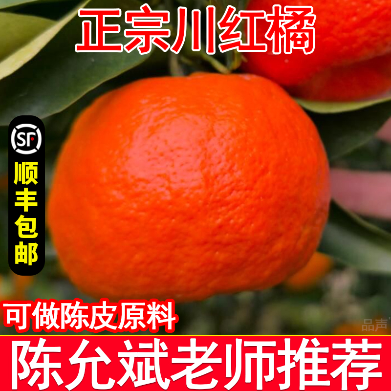 顺丰包邮万州古红桔正宗川红橘鲜果新鲜重庆陈皮四川老品种大红袍