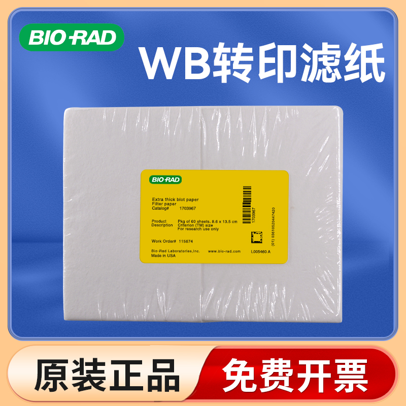 伯乐BIO-RAD转印厚滤纸
