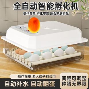 智能家用型孵蛋器鸡苗水床孵化箱小鸡孵化器小型家用孵化机