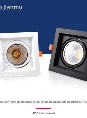 Led格栅大胆灯单头双头方形筒灯栅格葡萄架嵌入式方形商业穗轴聚