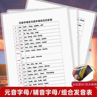 英语元音辅音字母及元音辅音字母组合的发音自然拼读规则塑封卡片