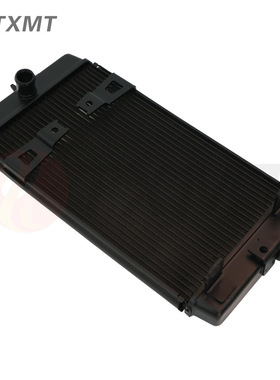 适用凯旋Triumph T100 T120 Thruxton 水箱总成 水冷散热器配件