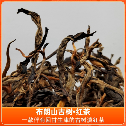 2025布朗山云南古树红茶200年树龄滇红高扬花蜜香袋装散茶新茶叶