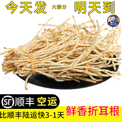 顺丰空运次日达现摘云南折耳根