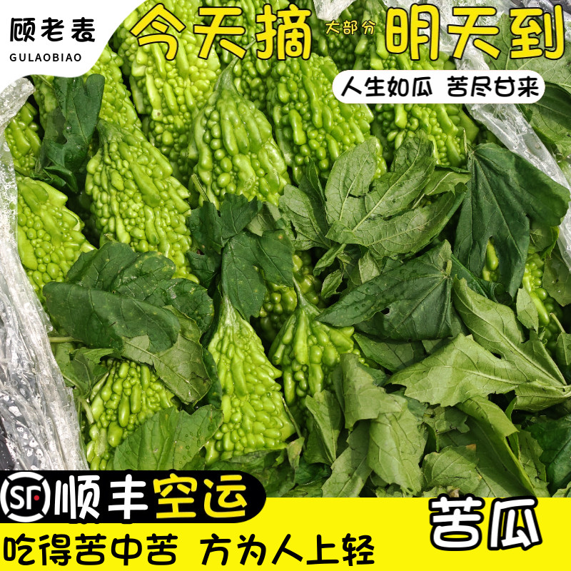 空运次日达农家自种苦瓜5斤