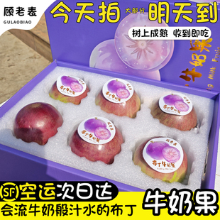 顺丰空运次日达牛奶果礼盒新鲜水果紫色牛奶果稀奇古怪紫黄晶果