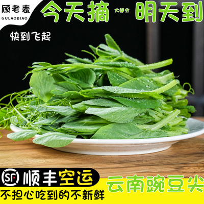 空运次日达现摘豌豆尖顺丰