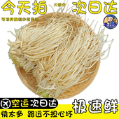 顺丰空运次日达云南新鲜撇菜根苤菜根月子良菜腌制炒肉大韭菜根
