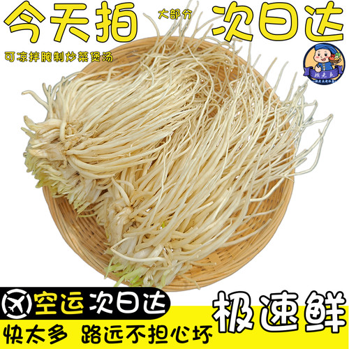 空运次日达新鲜撇菜根苤菜根