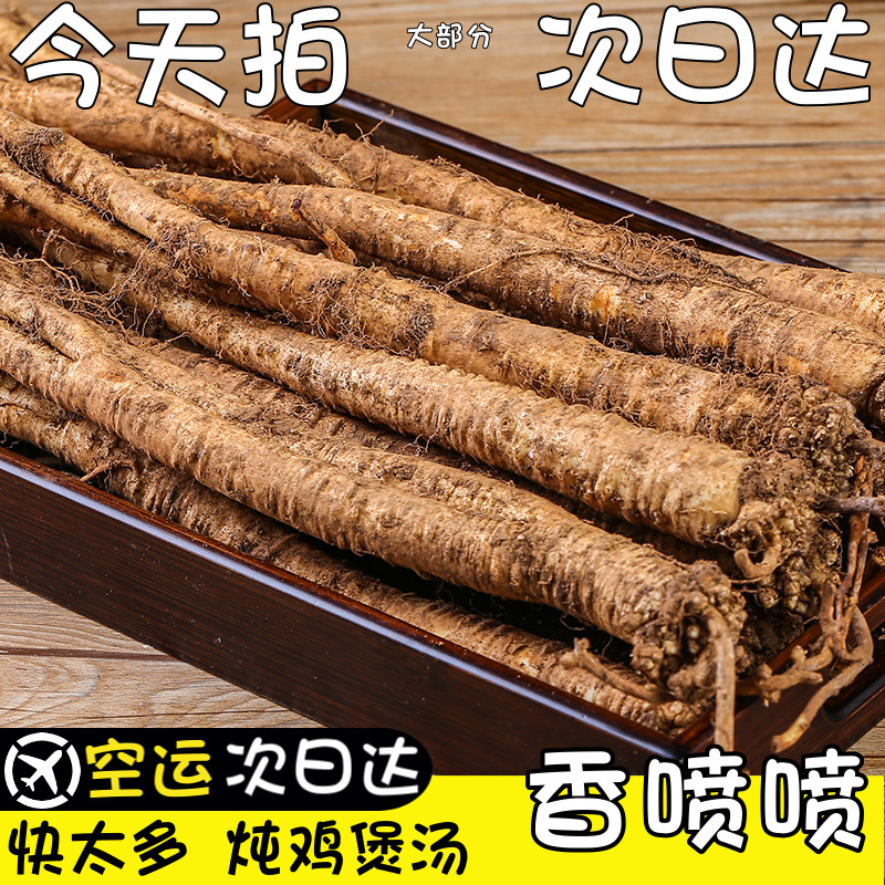 空运次日达新鲜现挖云南臭参