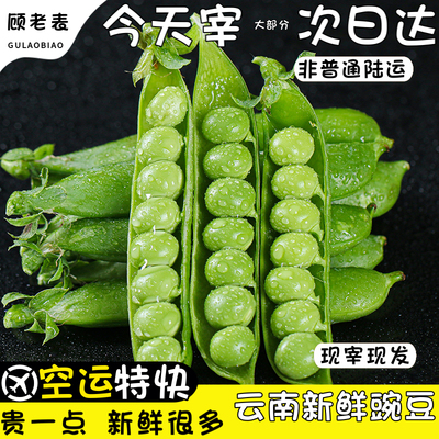 空运次日达云南鲜豌豆带壳甜豆