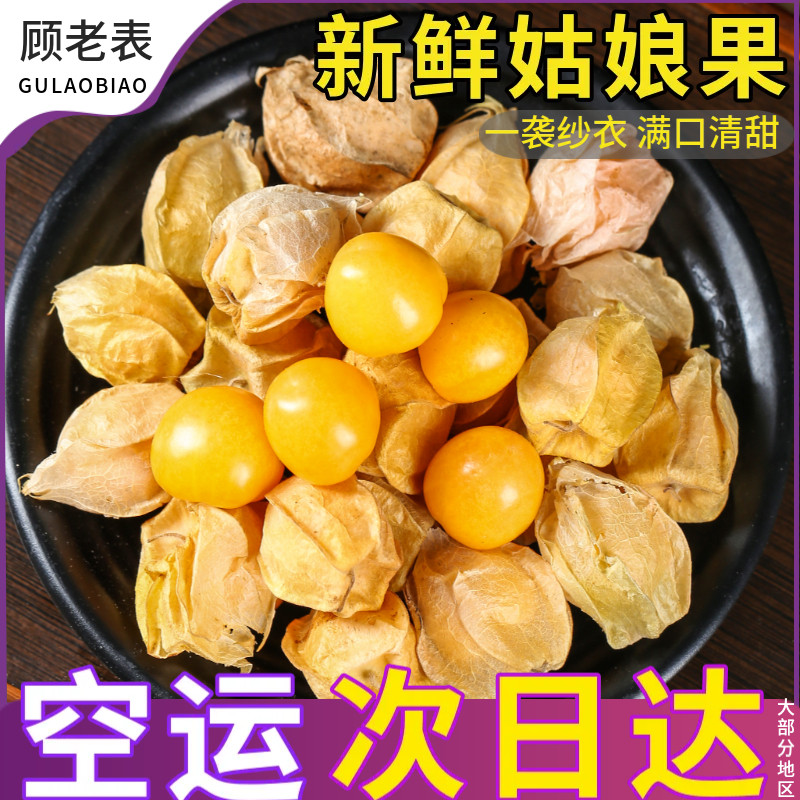 顺丰空运云南姑娘果菇娘果高原灯笼果新鲜罕见水果小金豆稀奇古怪