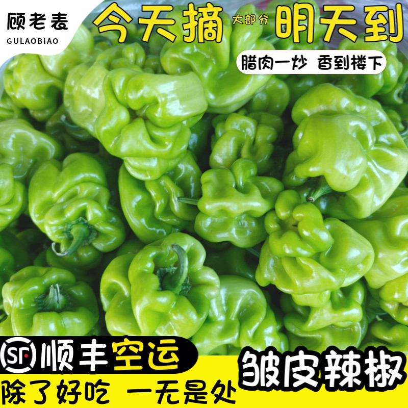 顺丰空运次日达顾老表皱皮辣椒