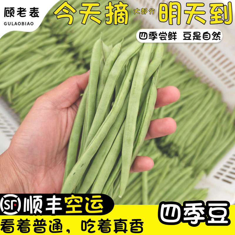 顺丰空运次日达新鲜四季豆