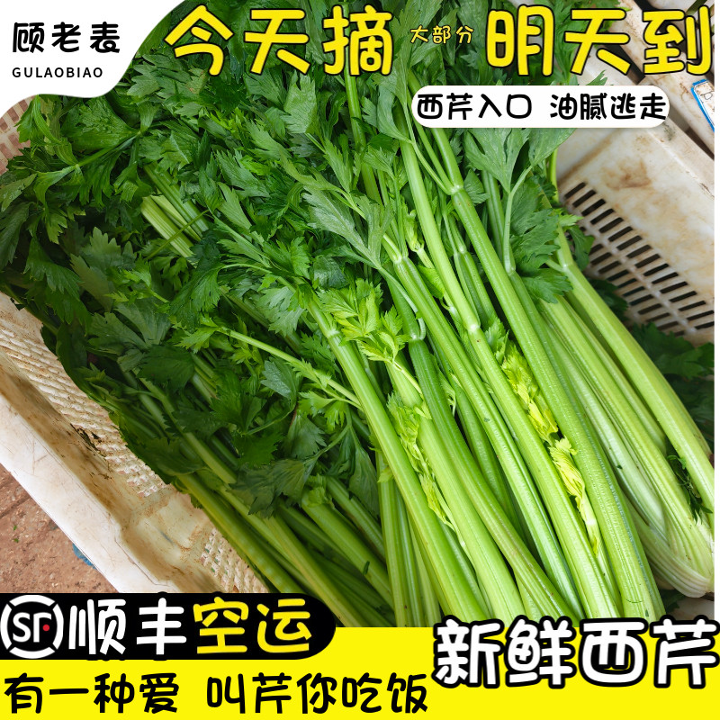 空运次日达新鲜西芹生吃榨汁