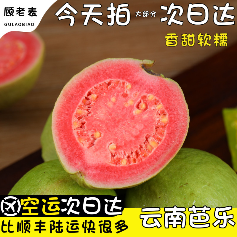 顺丰空运次日达云南软芭乐番石榴当季新鲜水果潘蕃胭脂红色巴乐