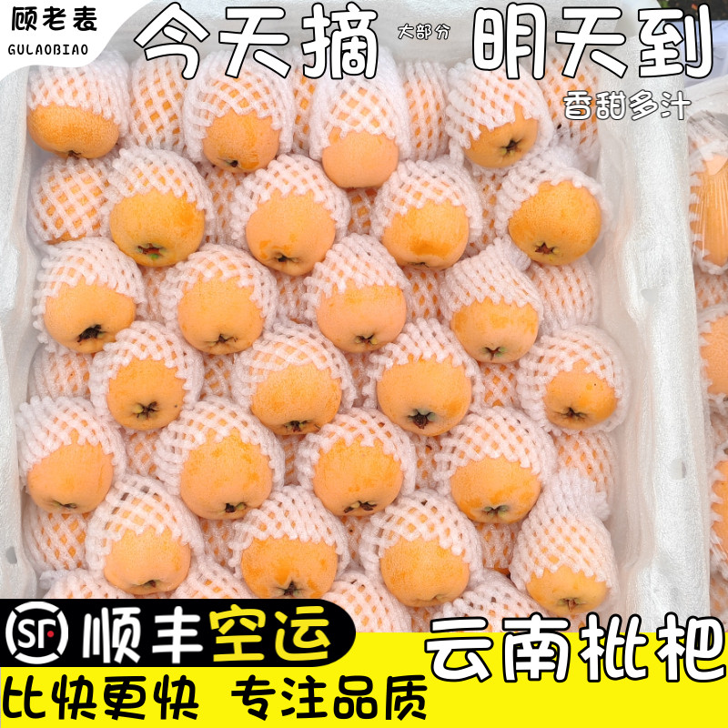 顺丰空运云南蒙自枇杷大果新鲜当季现摘枇杷孕妇甜琵琶次日达