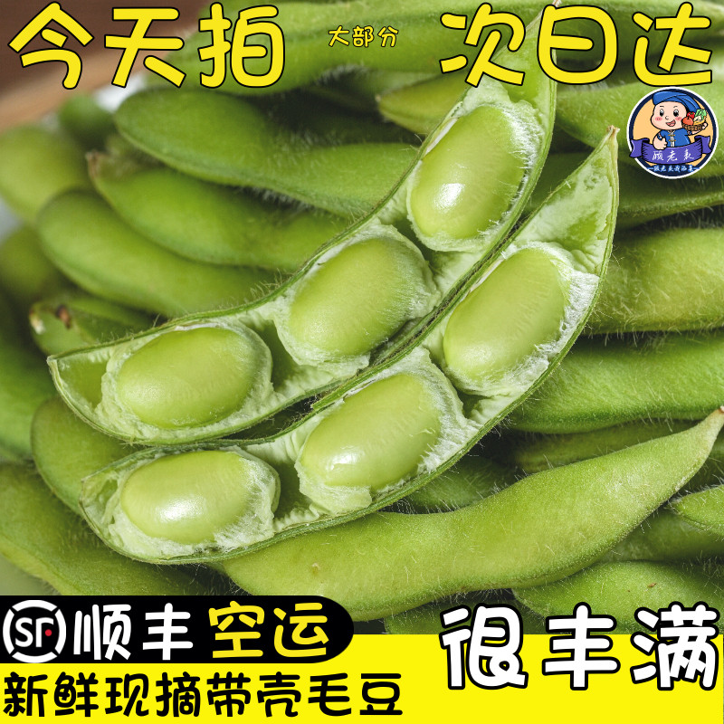 空运次日达新鲜现摘毛豆图片