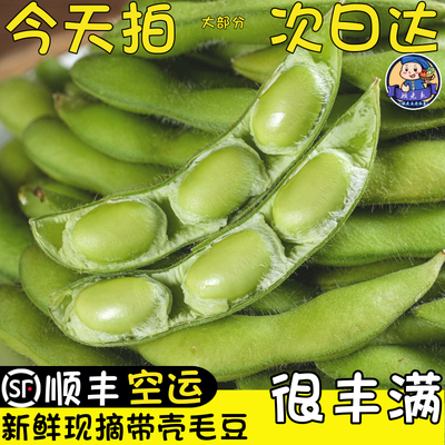 空运次日达新鲜现摘毛豆