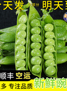 顺丰空运次日达新鲜豌豆云南青豆角粒农家蔬菜豌豆荚嫩现摘现发