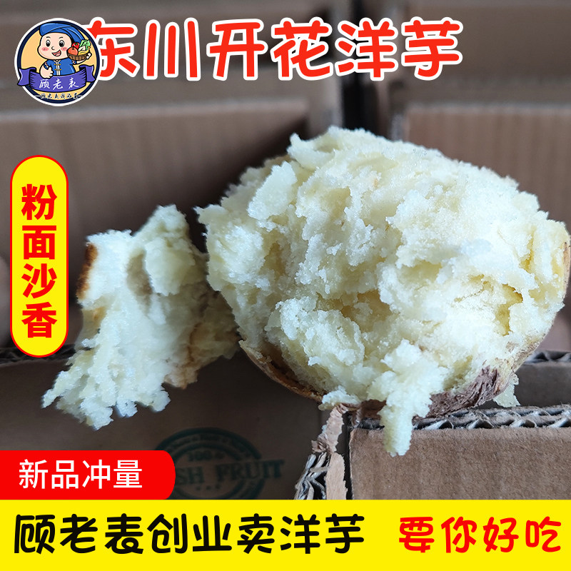 东川开花洋芋云南红皮黄心土豆粉面沙特产新鲜蔬菜高山马铃薯3斤