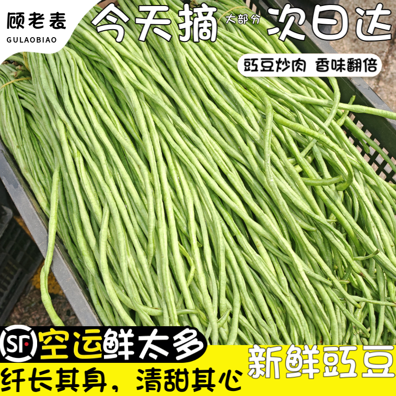 顾老表云南豇豆顺丰空运