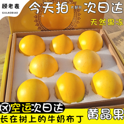空运黄晶果顾老表黄晶牛奶果