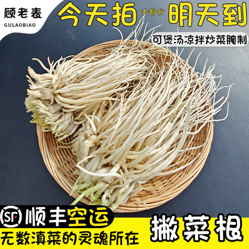 空运次日达撇菜根大韭菜根