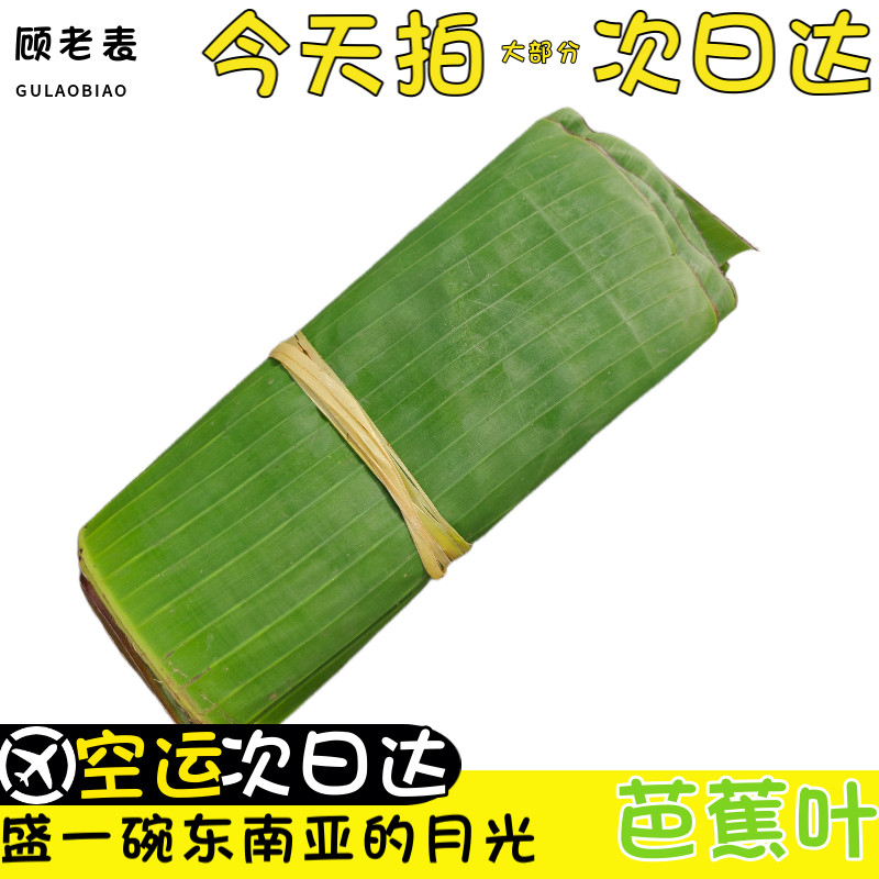 顺丰空运次日达芭蕉叶新鲜香蕉叶做糍粑粽子糕点傣式烧烤摆盘装饰
