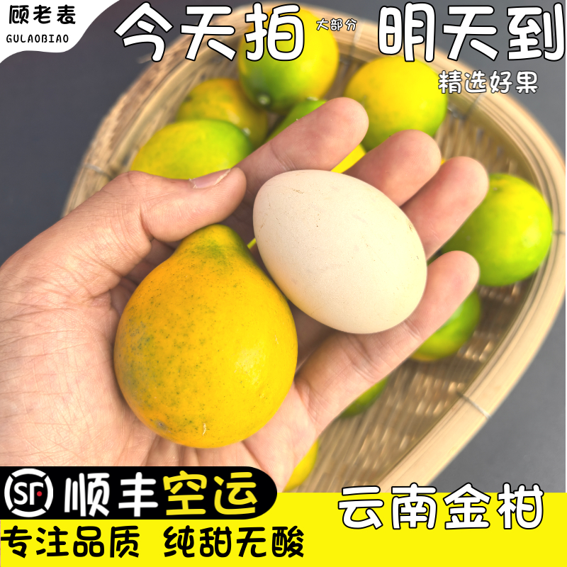 空运顾老表云南脆蜜金柑纯甜
