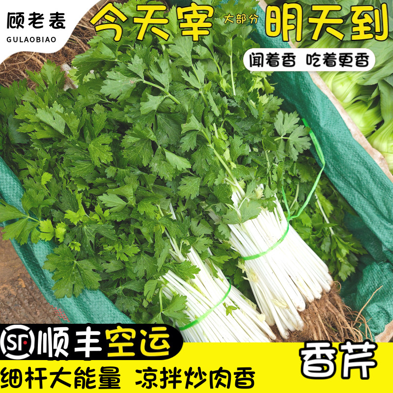 顺丰空运次日达农家现摘白杆芹菜