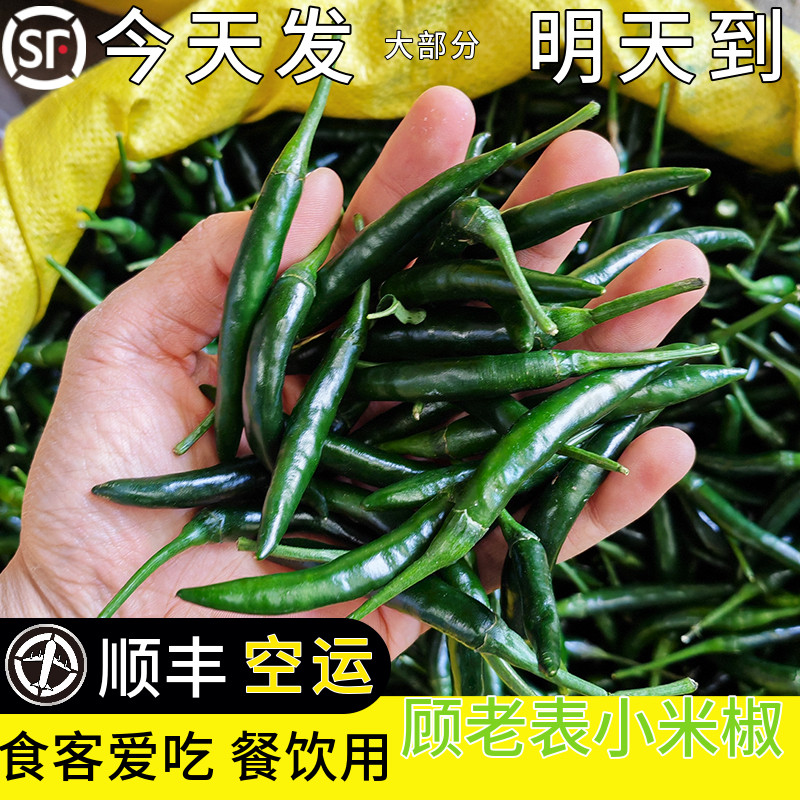 顾老表青皮小米辣顺丰空运次日达