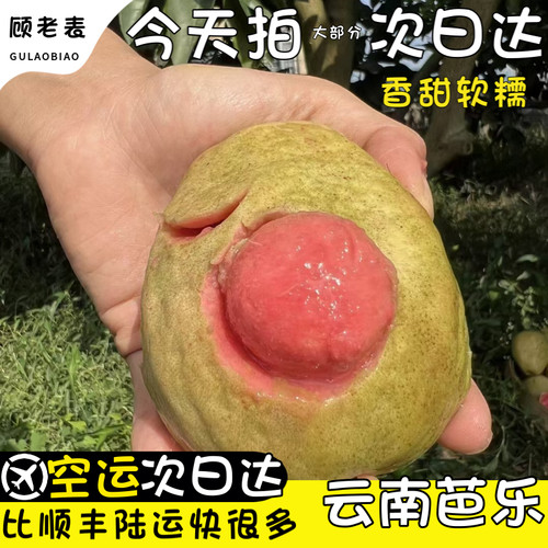 顾老表云南红心芭乐软糯番石榴