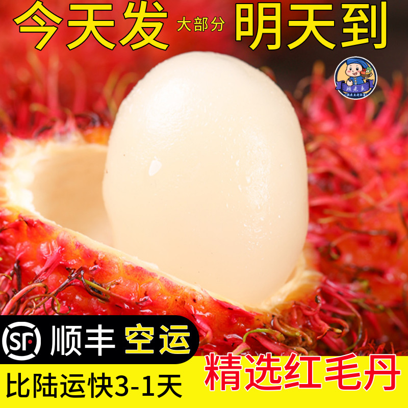 顺丰空运云南红毛丹新鲜热带水果当季甜毛荔枝毛丹果整箱包邮5斤,水产肉类/新鲜蔬果/熟食,毛丹/毛荔枝,淘宝优惠券,粉丝福利购,淘宝优惠卷