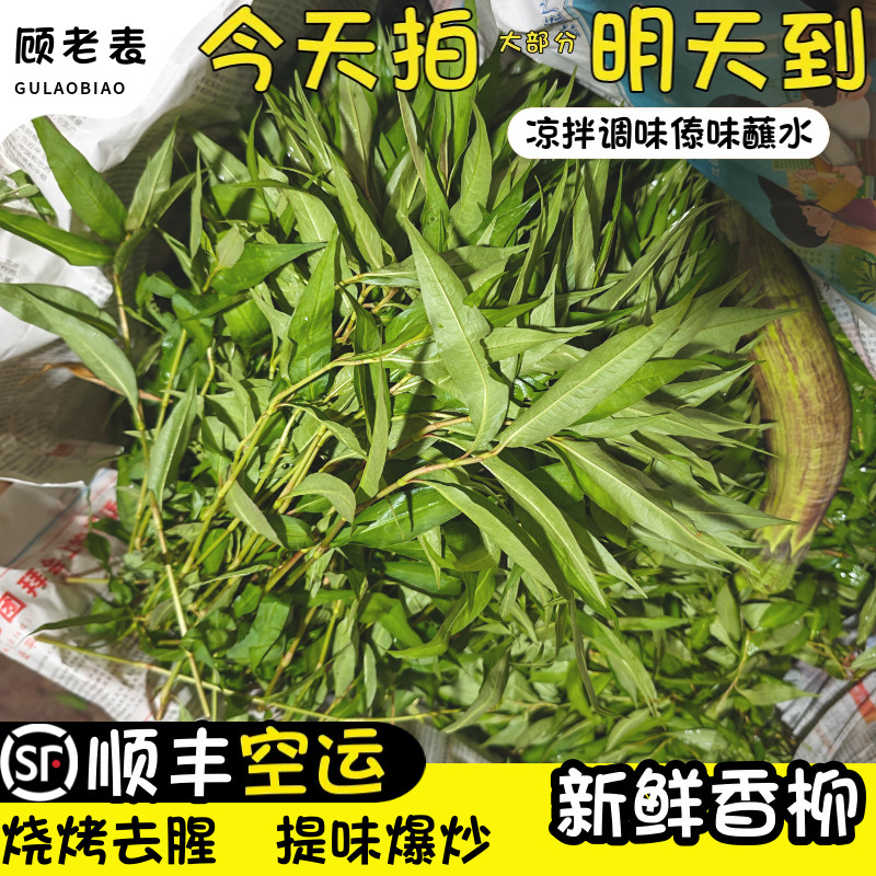 空运次日达现摘香柳叶
