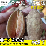 空运云南甜心果爆甜新鲜当季西双版纳特产水果稀少罕见人心果3斤