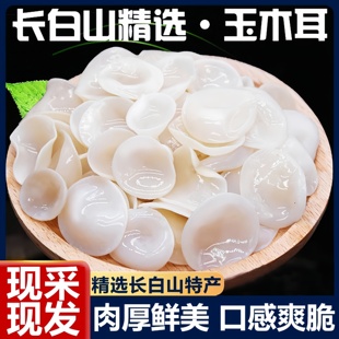 正宗野生白玉木耳长白山特级有机干货新鲜饭店商用家用官方旗舰店