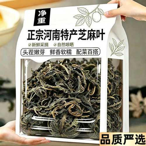 正宗河南特产农家干芝麻叶