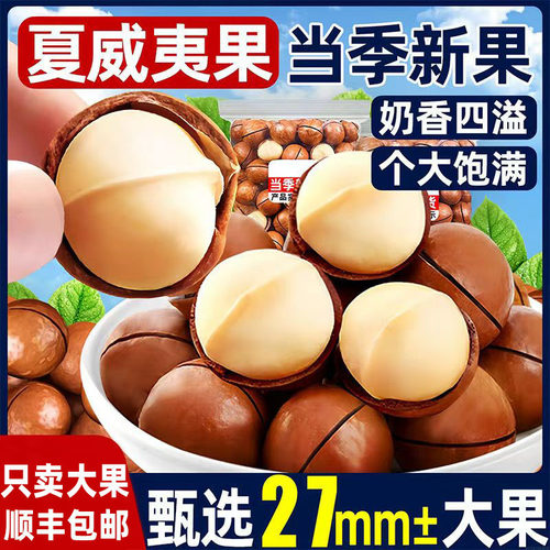 夏威夷果2025年新货大颗粒