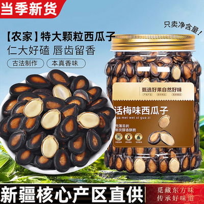 2025新货大颗粒话梅五香味西瓜子