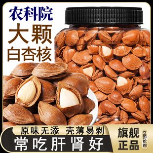 农科院新款开口白杏核原味无添加大颗粒甜杏仁坚果零食官方旗舰店