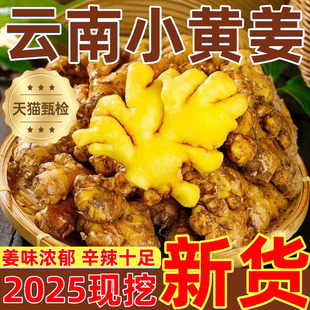 正宗云南小黄姜5斤鲜生姜老姜新沙姜优质嫩姜仔姜整箱官方旗舰店