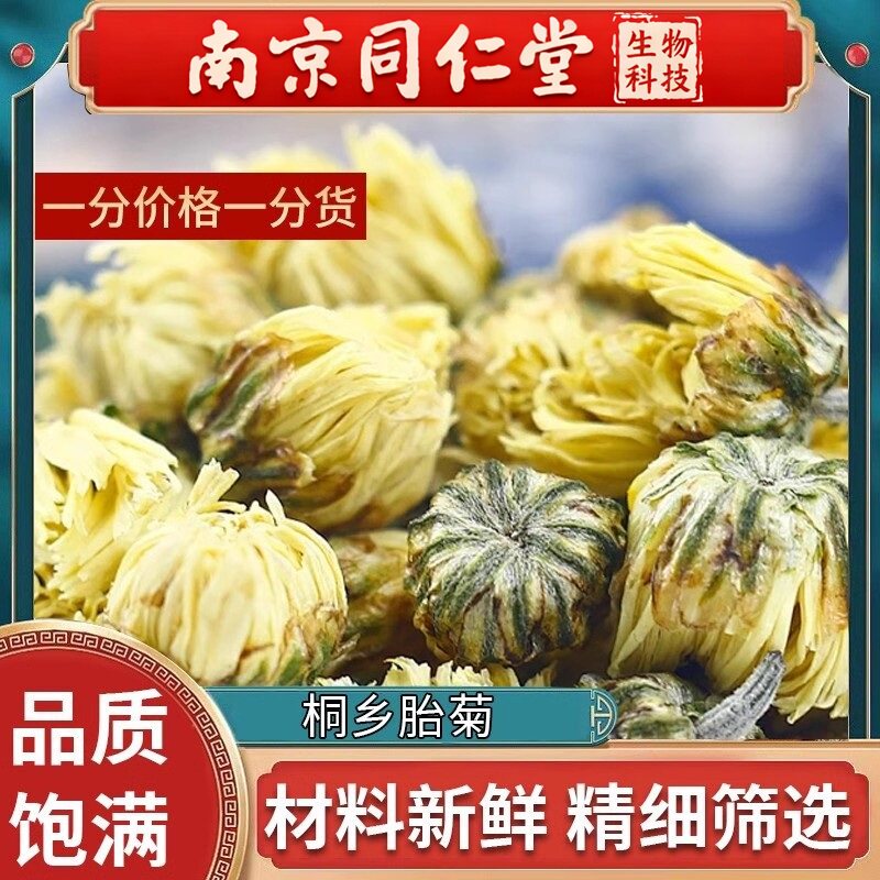 南京同仁堂胎菊菊花金丝皇菊枸杞茶正品大朵黄胎菊贡菊产地直销