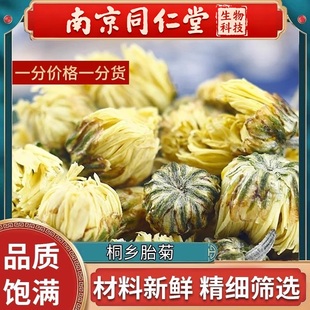 南京同仁堂胎菊菊花金丝皇菊枸杞茶正品大朵黄胎菊贡菊产地直销