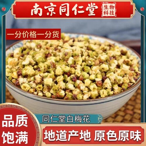 南京同仁堂白梅花中药材绿萼梅绿