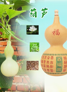 易步高升天然葫芦风水葫芦复古