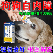 狗狗白内障滴眼液宠物专用眼药水老年犬抑初期角膜炎 一滴去障