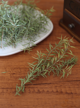 单品花材混装干花DIY材料香薰蜡烛石膏材料多色系真花风干永生花