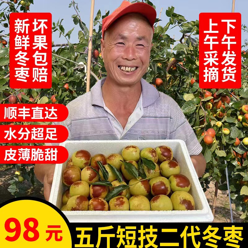 正宗二代冬枣丨沾化冬枣甜脆包邮