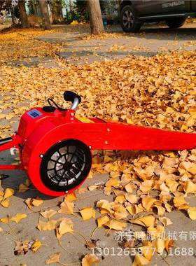 背负程式汽吹风机 油推式手LZA两冲吹雪机 大风力汽油灭火机